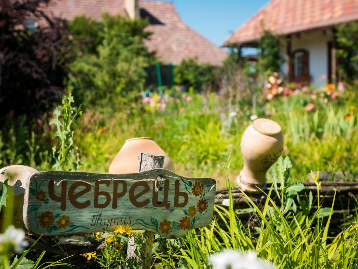 Vesela Sadyba Veselivka Exterior foto